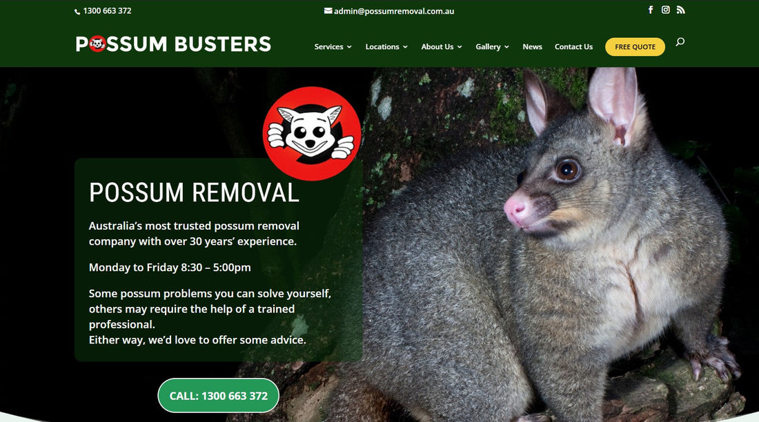 Possum Busters